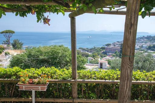 Guesthouse Coralba Casamicciola Terme Luaran gambar