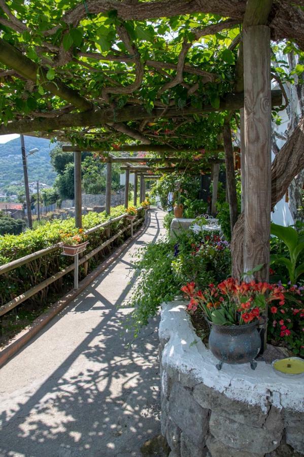 Guesthouse Coralba Casamicciola Terme Luaran gambar
